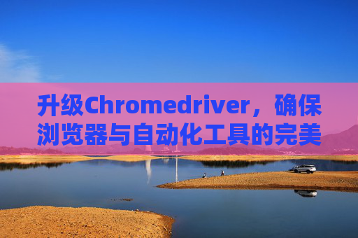 升级Chromedriver，确保浏览器与自动化工具的完美同步